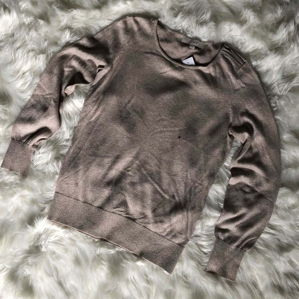 NWT LOFT Sparkle Sweater
